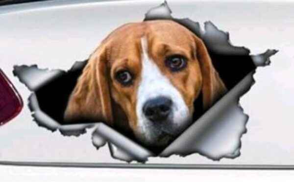 Car Tail Pet Pattern Sticker - Image 3